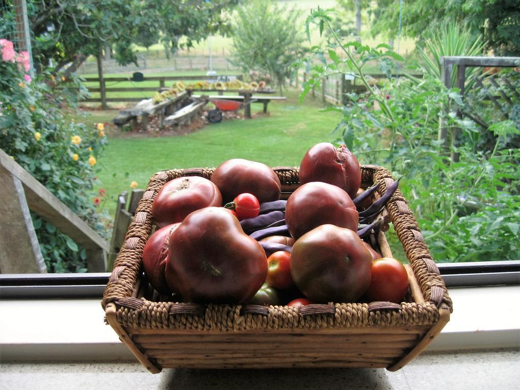 Miranda Orchard Cottage Exterior foto
